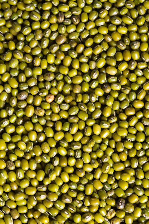 Homemade Sprouts