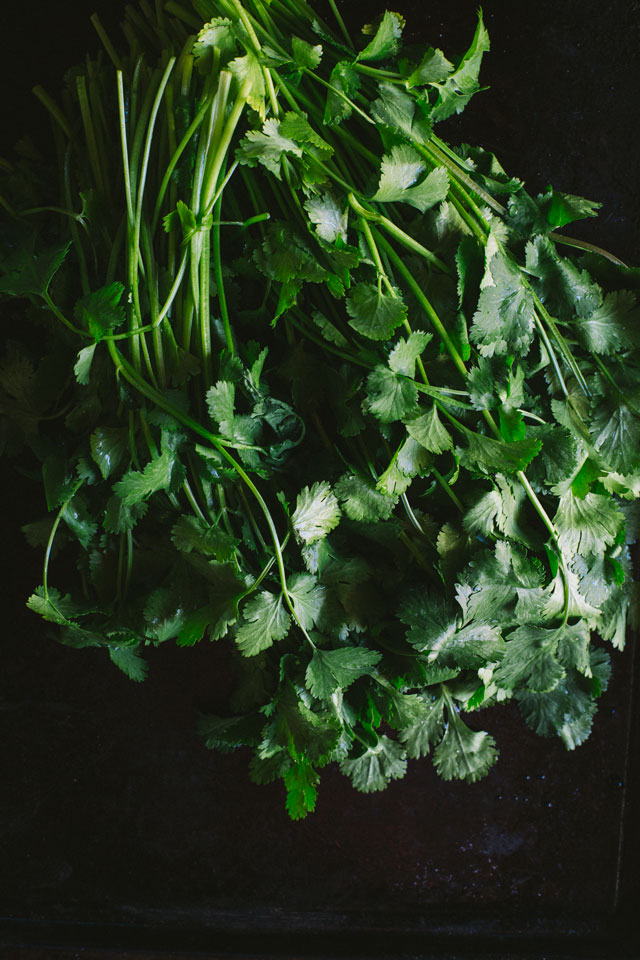 Cilantro Chicken