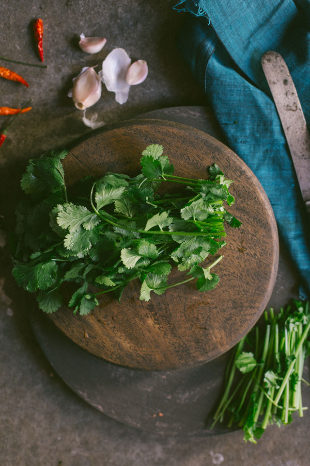 Cilantro Chicken