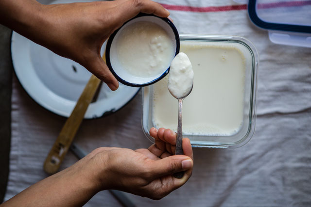 How to Make Yogurt