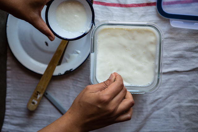 How to Make Yogurt