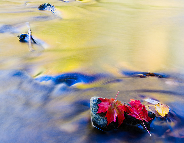 Wordless Wednesday – Welcome Fall!