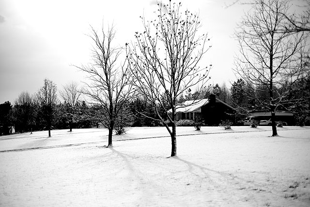 Wordless Wednesday – Let it snow!