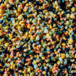 Lentils