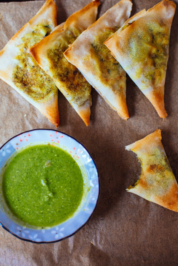 Wonton Samosa